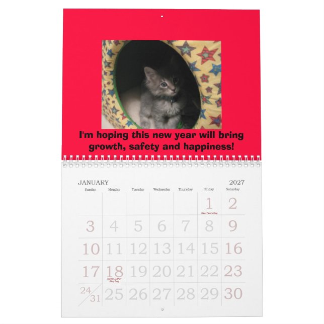 Hund- & kattkalender kalender (Jan 2027)