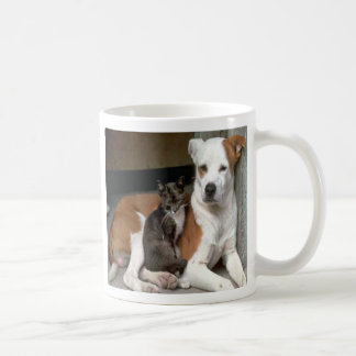 Hund- & kattmugg kaffemugg