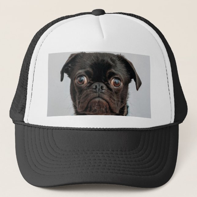 hund keps (Framsida)