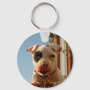 Hund Keychain Nyckelring