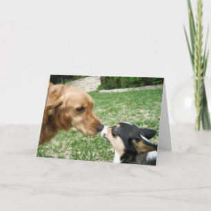Hund Kiss Romantic Valentine Day Helgkort