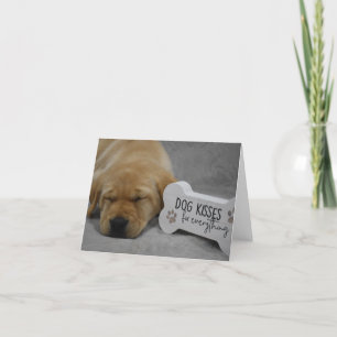Hund Kisses korrigerar allt Labrador Puppy Tack Kort
