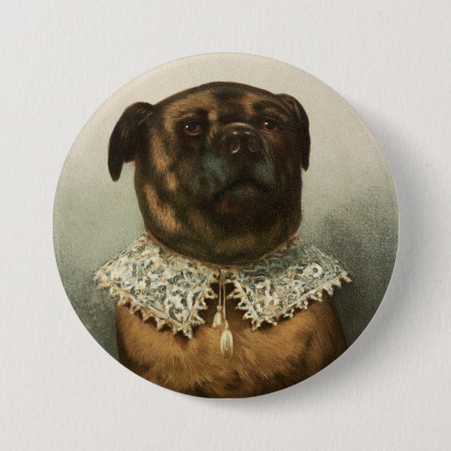 Hund Knapp (Framsida)