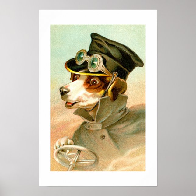 Hund körning poster (Framsidan)