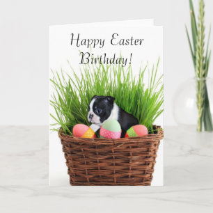 Hund-kort för glad påsk-födelsedagsboston-terrier helgkort