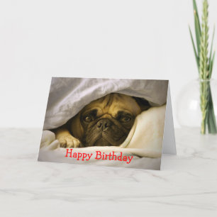 Hund-kort för Grattis på födelsedagen Pug Puppy Kort