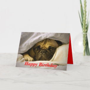 Hund-kort för Grattis på födelsedagen Pug Puppy Kort