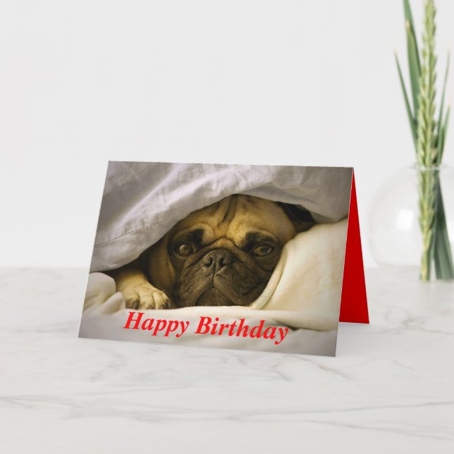 Hund-kort för Grattis på födelsedagen Pug Puppy Kort (Framsida)