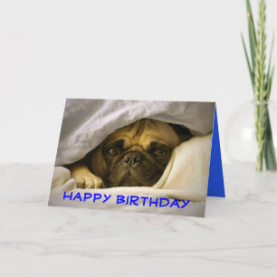 Hund-kort för Grattis på födelsedagen Pug Puppy Kort