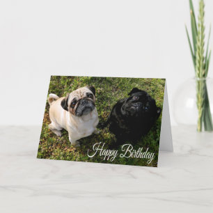 Hund-kort för Grattis på födelsedagen Pug Puppy Kort