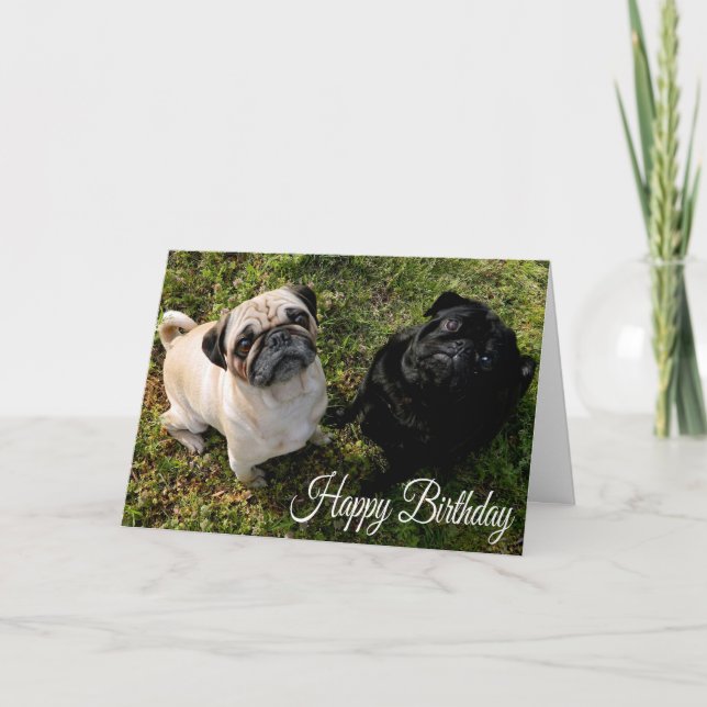 Hund-kort för Grattis på födelsedagen Pug Puppy Kort (Framsida)