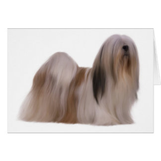 Hund-kort Hälsningskort