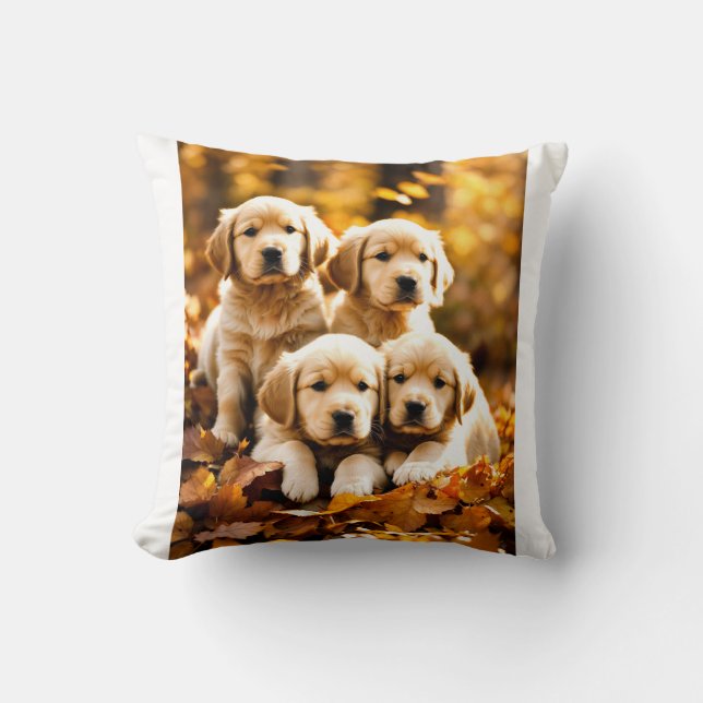 hund kudde (Framsida)