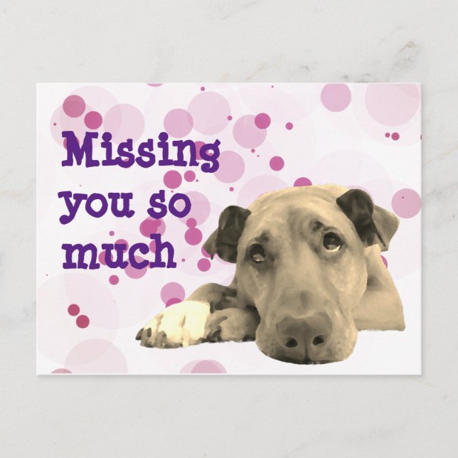 Hund ledsen saknas vykort (Framsida)