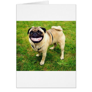 hund leende pug hälsningskort