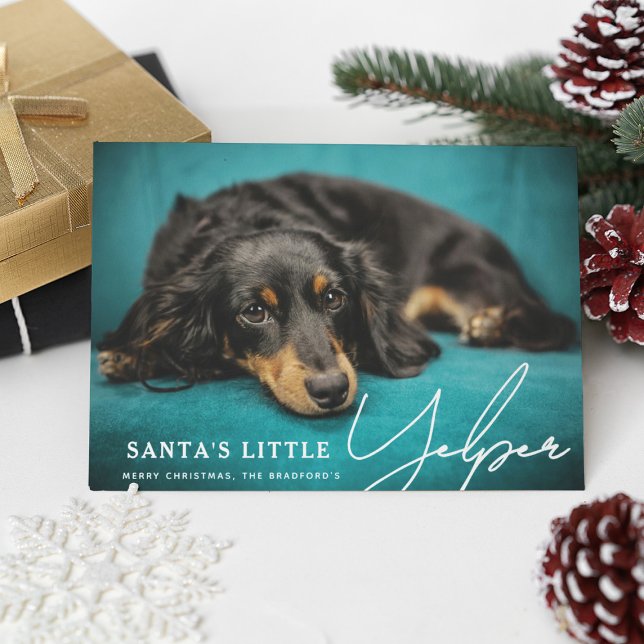 Hund "Lilla Yelper" - Lustigt Cute Santa's Little  Julkort (Skapare uppladdad)