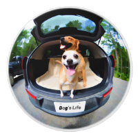 Hund livFisk-öga Lens gulligt roligt