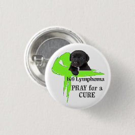 Hund Lymphoma - CancerBitor Knapp