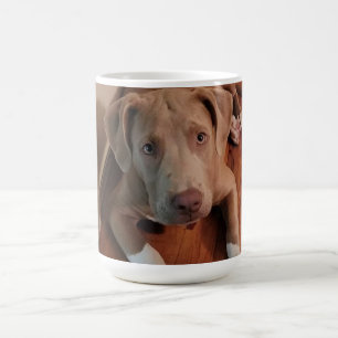 Hund Magisk Mugg