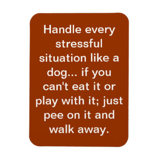 hund magnet