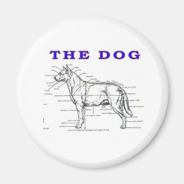 HUND MAGNET (Framsidan)