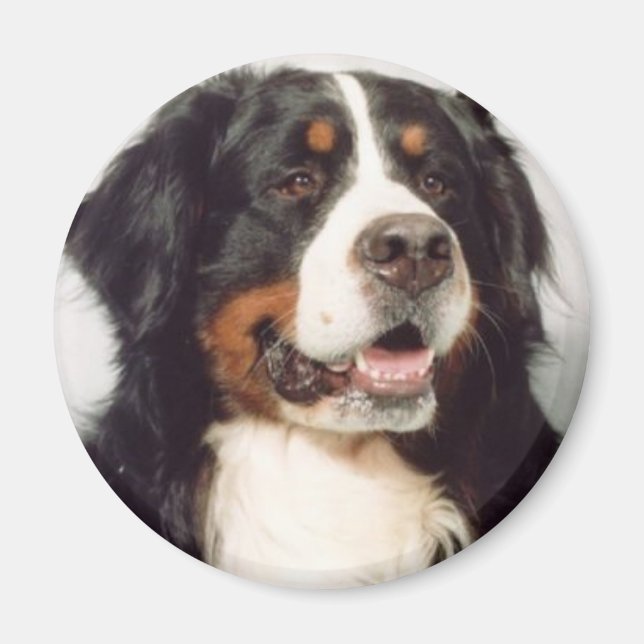 Hund Magnet (Framsidan)