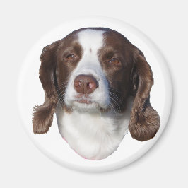 Hund magnet