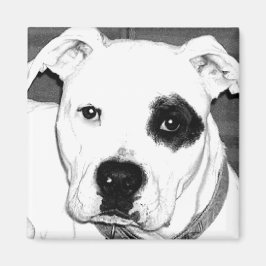 Hund Magnet