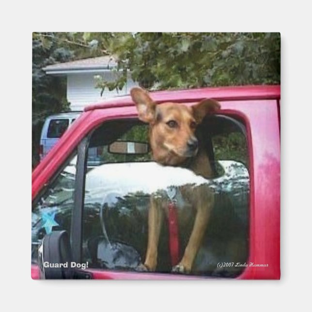 Hund! Magnet (Framsidan)