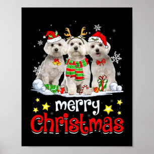Hund maltesisk God jul Cute Maltesisk Hund Chris Poster