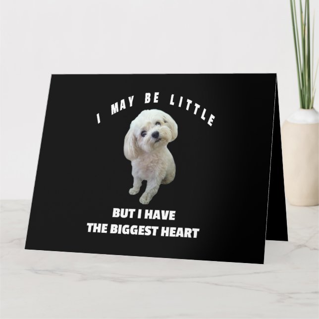 Hund maltesisk schaktfull maltesisk Hund design Fu Kort (Framsida)