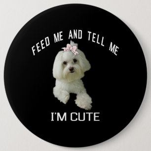 Hund maltesiska Cute Maltese Hund Funny Quote Pupp Knapp