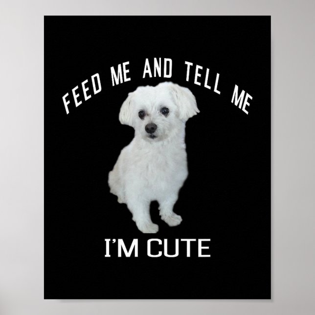 Hund maltesiska Cute Maltese Hund Funny Quote Pupp Poster (Framsidan)