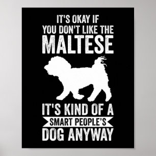 Hund maltesiska Just A Boy WHO Kärlek Malta Quote Poster