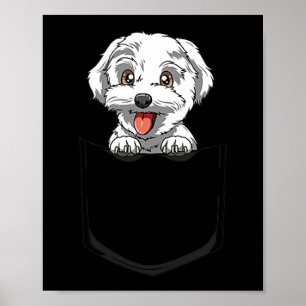 Hund maltesiska Pocket maltesiska Peeking Out Pock Poster