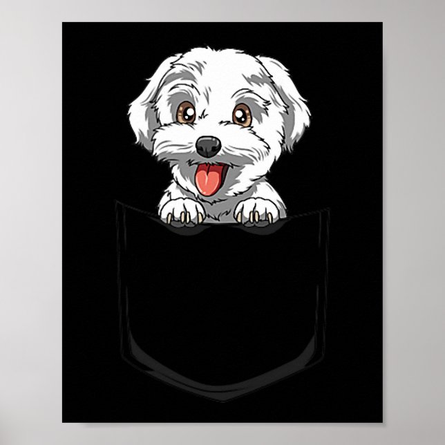 Hund maltesiska Pocket maltesiska Peeking Out Pock Poster (Framsidan)