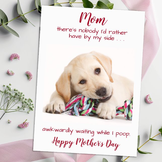 Hund Mamma Funny Pet Photo Personlig Mors dag Julkort (Skapare uppladdad)