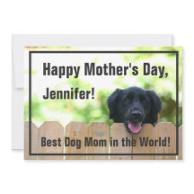 Hund Mamma | Lycklig Mors dag