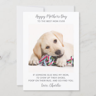 Hund Mamma Personlig Pet Photo Funny Mors dag Julkort