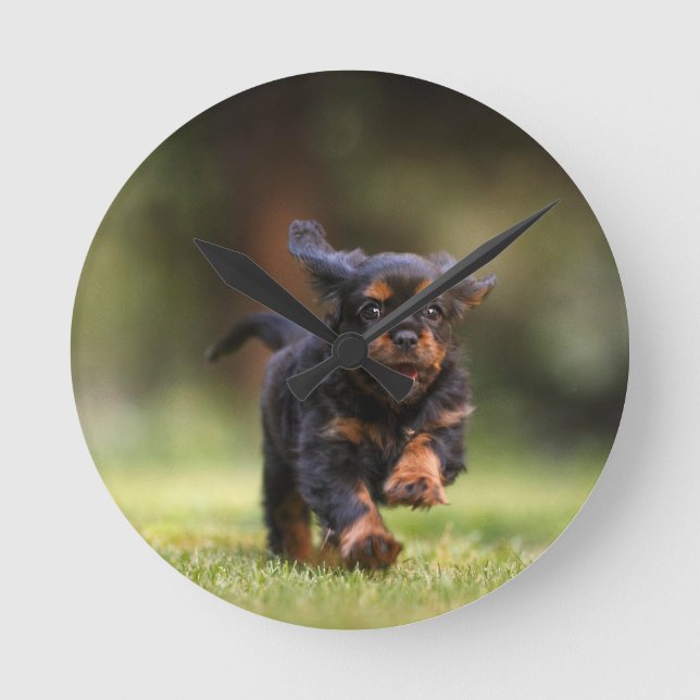 Hund, marionett, avalier rund klocka (Framsida)