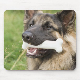 Hund med ben musmatta