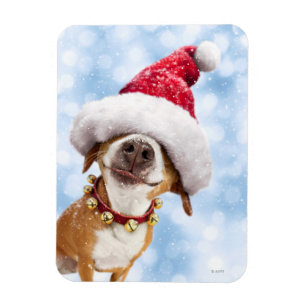 Hund med Big Santa Hat Magnet