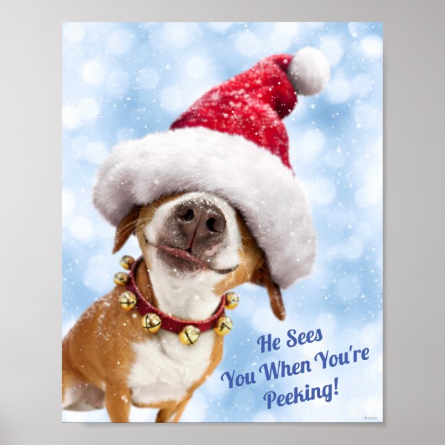 Hund med Big Santa Hat Poster (Framsidan)