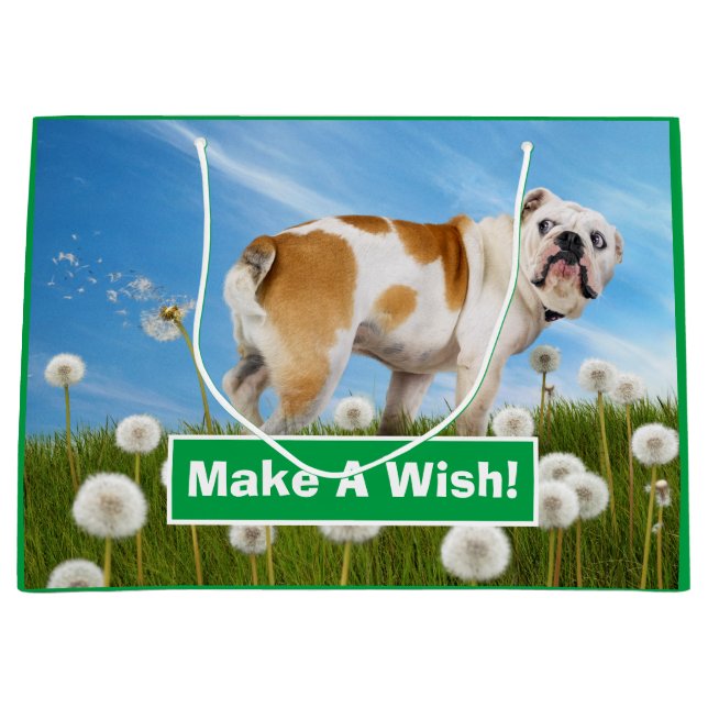 Hund med Dandelion (Framsidan)