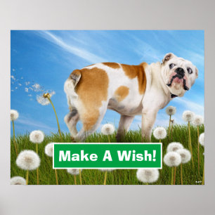 Hund med Dandelion Poster