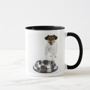 Hund med den stora bunken mugg