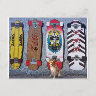 Hund med Dogtown skateboard mural Vykort