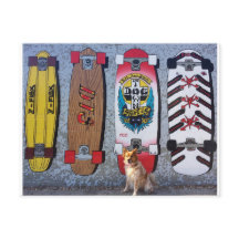 Hund med Dogtown skateboard mural