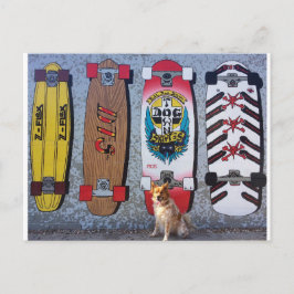 Hund med Dogtown skateboard mural Vykort