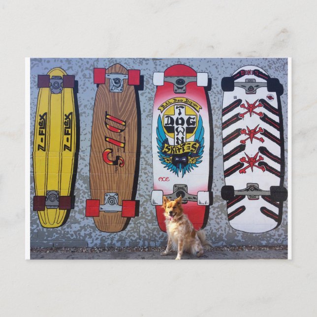 Hund med Dogtown skateboard mural Vykort (Framsida)